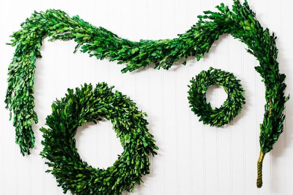 Richland Preserved Boxwood Wreath 17” Hot on Sale - Image 4