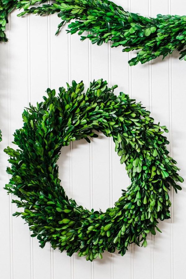 Richland Preserved Boxwood Wreath 17” Hot on Sale - Image 2