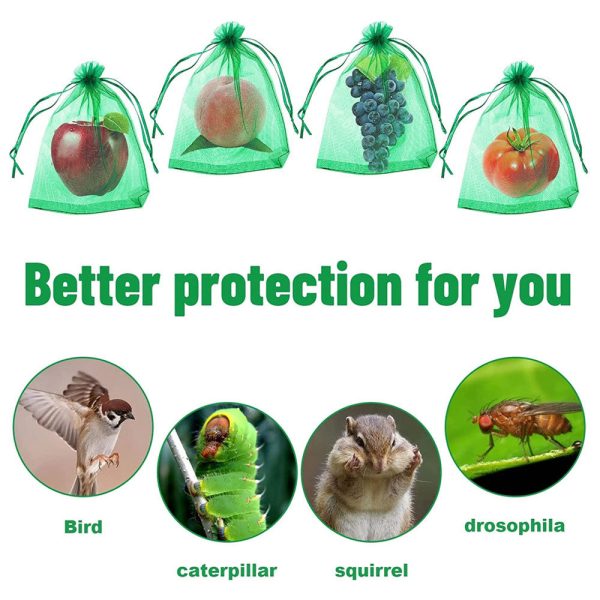 100 Pcs - Fruit Protection Bag Fashion - Image 4