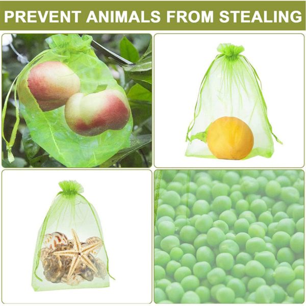 100 Pcs - Fruit Protection Bag Fashion - Image 2