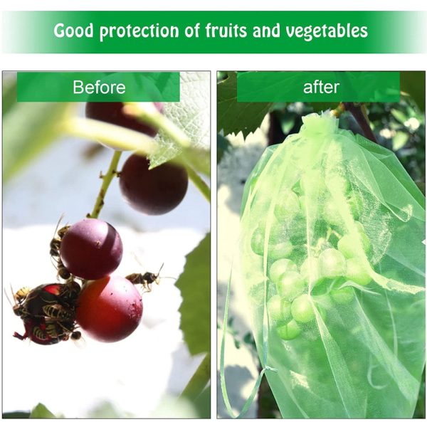 100 Pcs - Fruit Protection Bag Fashion - Image 3