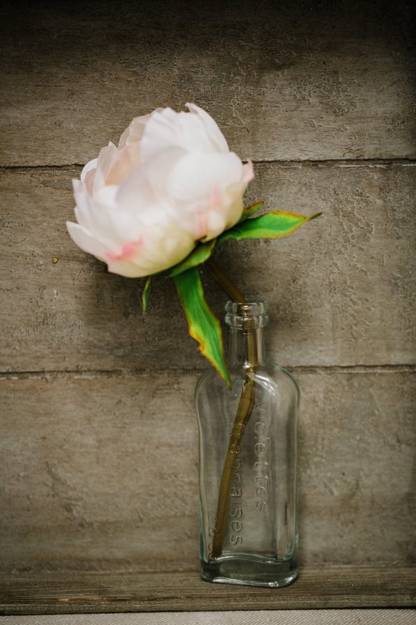 Richland Effie Bud Vase Set of 48 Supply - Image 4
