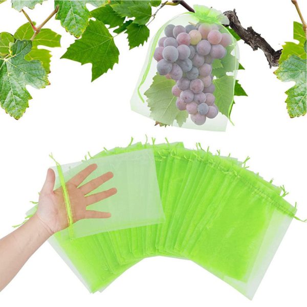 100 Pcs - Fruit Protection Bag Fashion